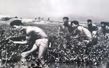 55 năm Ngày đánh thắng trận đầu của Hải quân nhân dân Việt Nam